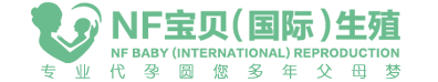 爱渡代怀助孕网