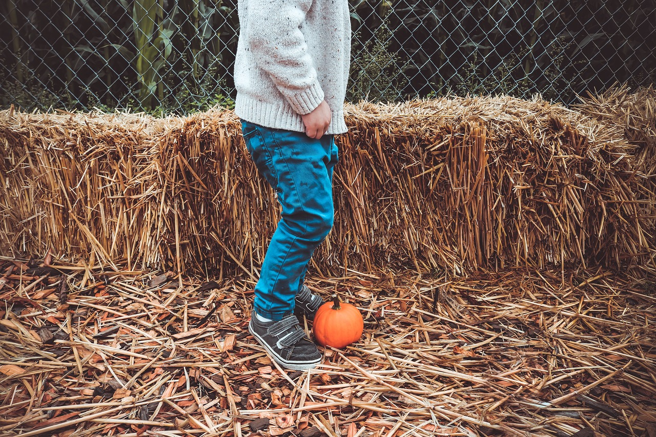 三个乞丐养了6年的代孕选性别生的女孩（三个乞丐养了6年的代孕选性别生的女孩叫什么）