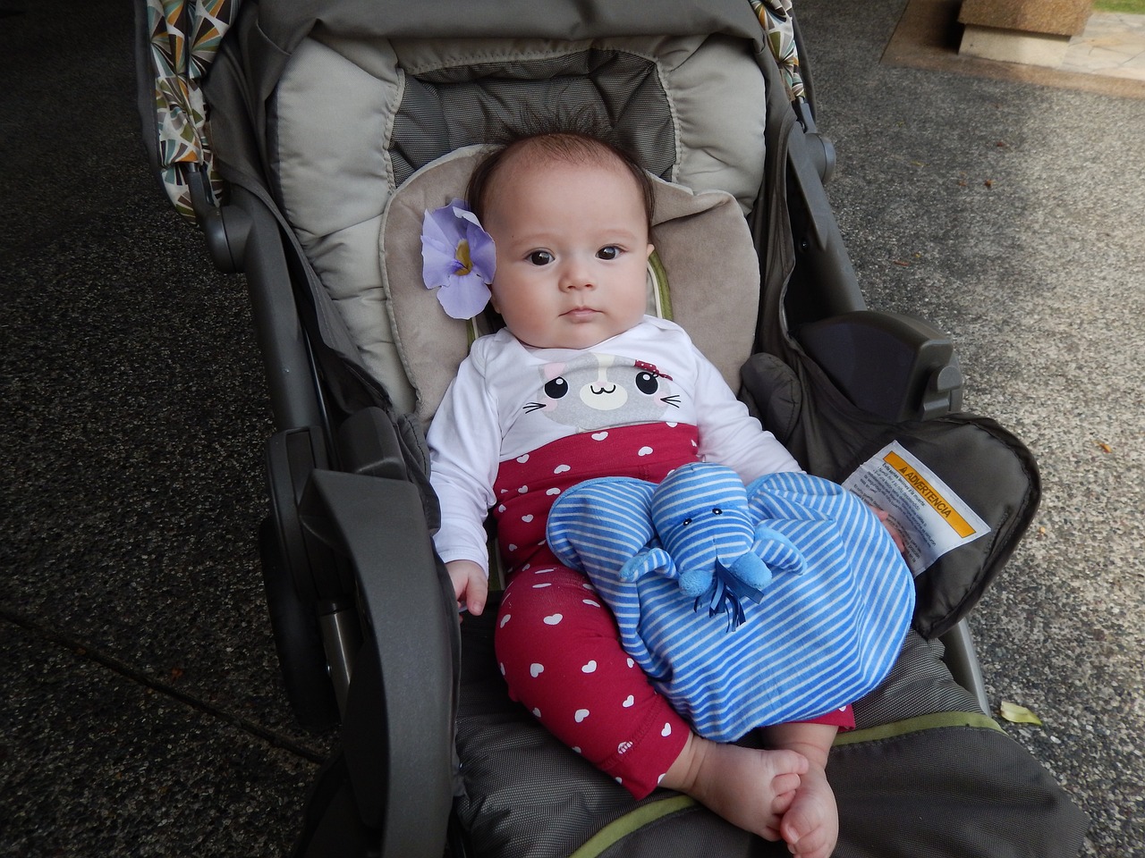 孕妈供卵生的宝宝四个月去上班利弊（试管代生的孩子四个月该不该出去上班）